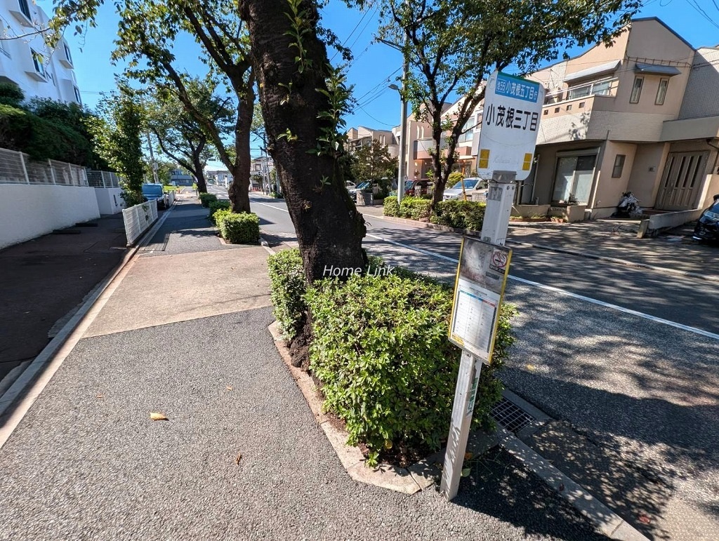コートハウス城北中央公園　北側 バス停